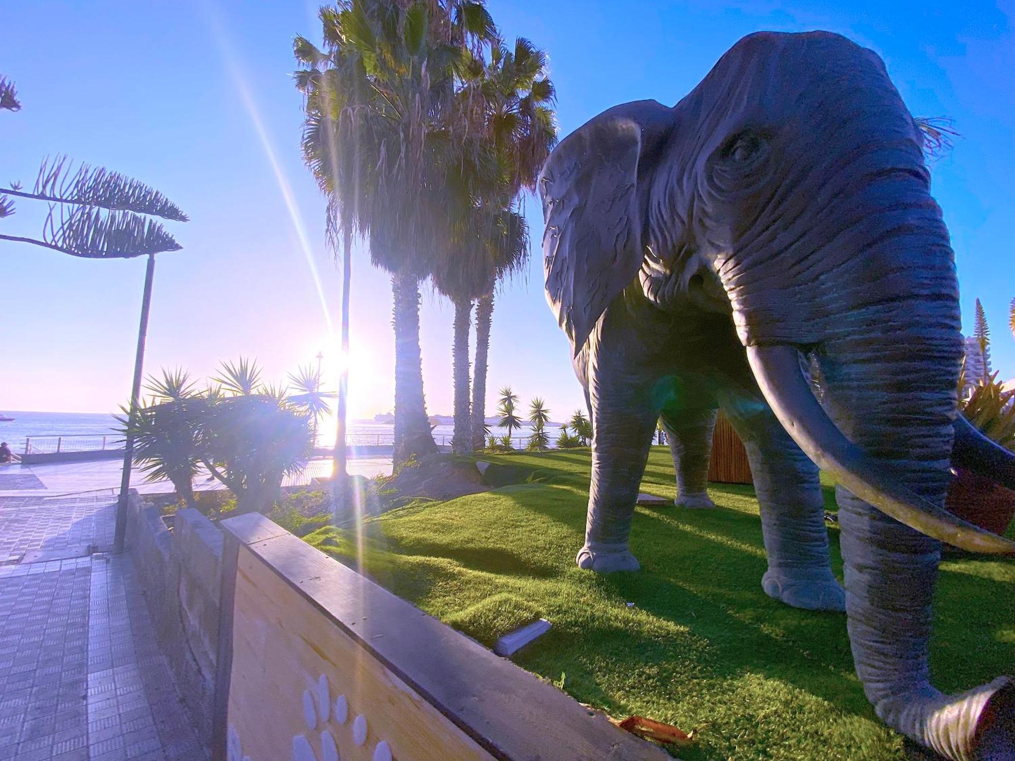 Appartement Tropicalidays Cristianos Angel à Los Cristianos  Extérieur photo